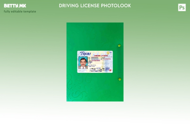 модерен стил USA Texas DL photolook FRONT шаблон